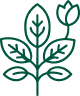Plant-Based
